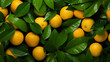 Background of fresh mandarins or oranges with green Generative Ai