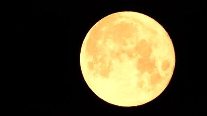 Wall Mural - A glowing golden huge full moon seen from earth through the atmosphere against a starry night sky. A large full moon moves across the sky, the moon moving from the left frame to the right.