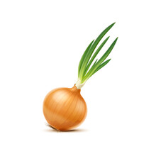 Isolated Realistic Yellow Raw Whole Onion Vegetable. 3d Vector Plant With Dry Golden Husk And Long, Green Shoots Or Sprouts. Ripe Fresh Garden Plant Emanates Pungent Aroma, Ready To Be Cooked