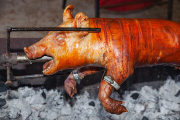 A young pig is roasted on a spit over coals.