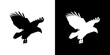 Silhouette eagle animal of black. Black icon animal