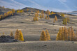 Early morning in the Kurai steppe of Altai in autumn. Altai Republic. Scenery.
