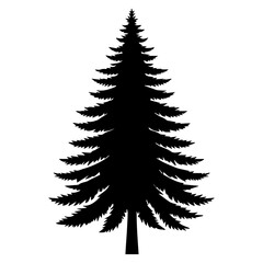 Canvas Print - Pine Tree vector silhouette black color 19