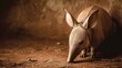A miniature elephant shrew, a bizarre hybrid animal with a long snout, is photographed realistically near a wall.