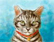 American shorthair cat pet portrait watercolor painting