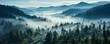 Dark Foggy Forest Drone View. Generative AI