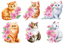 Cute Cat Set With Pink Apple Flowers, Sakura. Watercolor Painting Illustration, Spring Animal For Design, Poster, Cards
