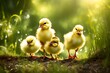 Little fluffy chicks explore the vibrant green grass under the warm rays of the sun, creating a picturesque scene of innocence and nature's beauty. 