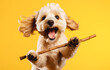 Against the yellow background, the enchanting brown poodle joyfully leaps while carrying a tree on its paws, expressing its liveliness and joy.
