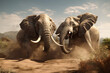 Elephants fight with each other