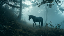 Silhouette Of A Black Unicorn In A Mystical Foggy Forest. Fantastic Creation, Fantasy Concept
