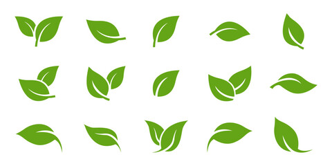 green leaf icons set. leaves icon on isolated background. collection green leaf. elements design for