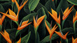 wallpaper with strelitzia bird of paradise flowers and green leaves orange yellow petals background drawing painting texture exotic tropical plants pattern rainforest jungle design fabric illustration