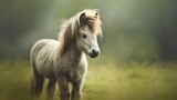 Fototapeta Pokój dzieciecy - A miniature horse with soft tones in a green field, highlighting the texture of its coat generative ai