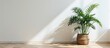 Tropical plant in woven basket on floor in bright apartment. Creative Banner. Copyspace image