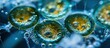 Marine phytoplankton called Ceratium tripos Mitosis Lugol preserved sample Selective focus image. Creative Banner. Copyspace image