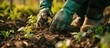 Man in green gloves checking quality of the soil on the farm Concept of farming growing plants and working on the ground Organic farming concept. Creative Banner. Copyspace image