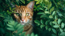 Green-Eyed Ginger Cat Peeking Through Leaves
