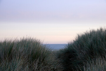 Wall Mural - Sunrise in Northumberland in December 2023