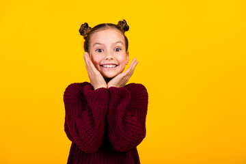 Wall Mural - Portrait of lovely cheerful schoolchild toothy smile hands touch face empty space ad isolated on yellow color background