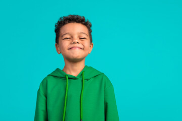 Wall Mural - Photo of proud satisfied adorable schoolboy with wavy hair dressed green pullover smiling at camera isolated on teal color background