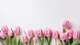 Fototapeta Tulipany - Pink tulip blooms with copy space on the side of a pastel on white background