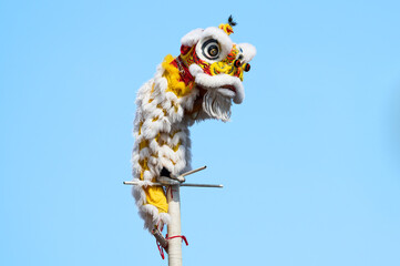 Wall Mural - Chinese lion show on top high bamboo in the Chinese New Year festival on blue sky background.Chinese lion costume used during Chinese New Year celebration in China town.