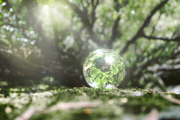 environment concept Glass globe on green moss in nature