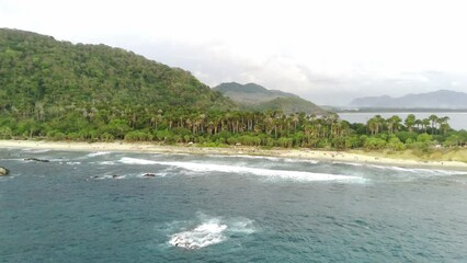 Wall Mural - Drone shot on Papuma Beach, Jember, Indonesia with thick vegetations, towering cliff and ocean waves.