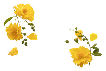yellow flowers cosmos local flora arrangement flat lay postcard style