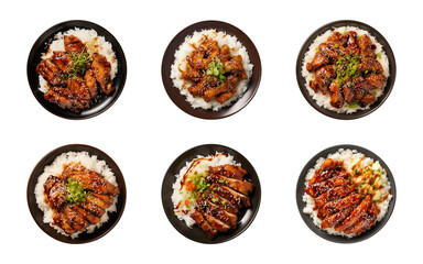 Wall Mural - Collection plate of teriyaki chicken with rice isolated on a transparent background, top view