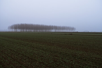 Po Valley foggy misty smoke landscape fields crops