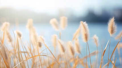 Thatch by the lake in autumn, illustration material of the twenty-four solar terms