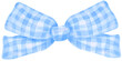 Blue Coquette bow gingham watercolor