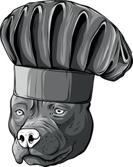 Sticker - monochromatic Pit bull Terrier in a chef s cap. Vector illustration.