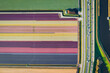 aerial overhead shot of colorful fields of tulips with traffic on street