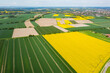 aerial view of a field of sunflowers and rapeseed