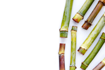 Wall Mural - Fresh sugar cane on white background.