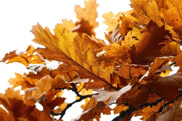 Aufkleber - A close-up view of a bunch of leaves on a tree. This image can be used to depict nature, seasons, or environmental themes