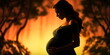 Silhouette of a pregnant woman on an evening background . Generative AI