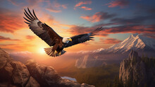Beautiful Eagle Is Flying In The Sky At Sunset Background.