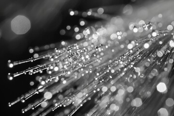 Poster - A close-up view of a bunch of water droplets. Perfect for adding a refreshing touch to any project
