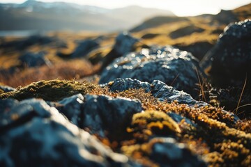 Poster - A close up shot of rocks and grass. This image can be used to depict nature, landscapes, or outdoor scenes