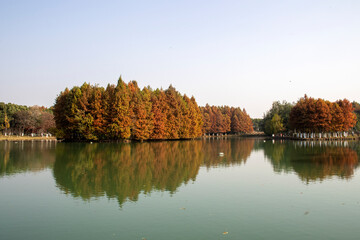 Wall Mural - Bacheng Ecological Wetland Park in Suzhou, China during autumn session.