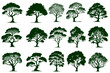 Sketch Trees Forest and park coniferous and deciduous trees. Vector isolated green nature set against background