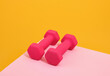 Two pink dumbbells for fitness and weight loss. Exercise in a gym.