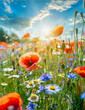 A summer meadow full of wildflowers, cornflowers, poppies and others in the sunlight.