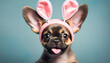 Cute funny puppy dog wearing easter bunny ears. Generative AI