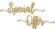 Special offer hand lettering in gold glitter