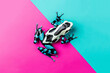 A psychedelic black and white frog, its fluorescent spots vibrant against a pink and blue background, sits poised.